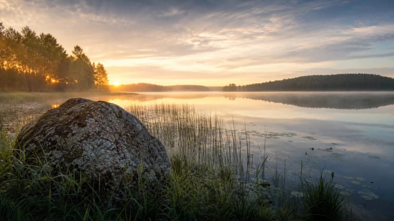 Mist around an old stone on the shore of Lake Metelys, with reeds and quiet water in the distance