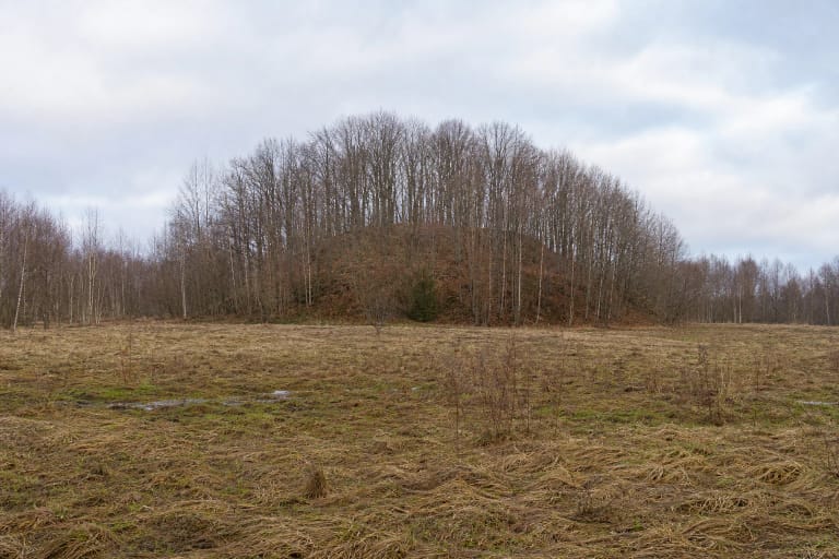 Rounded, deciduous-covered Mikniūnai Hillfort beyond a damp Dzūkija meadow in early spring