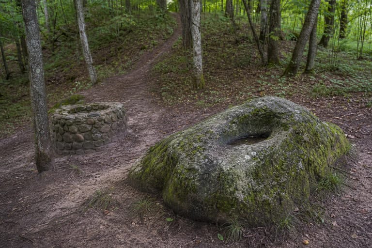 Mikytų alkakalnio miško takas, mossu apaugęs mitologinis akmuo ir Žemaitijos nacionalinio parko šventvietės aplinka
