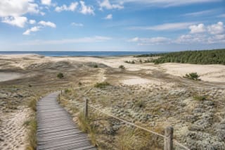 Nagliai Nature Reserve educational trail with a wooden path through grey and white Curonian Spit dunes