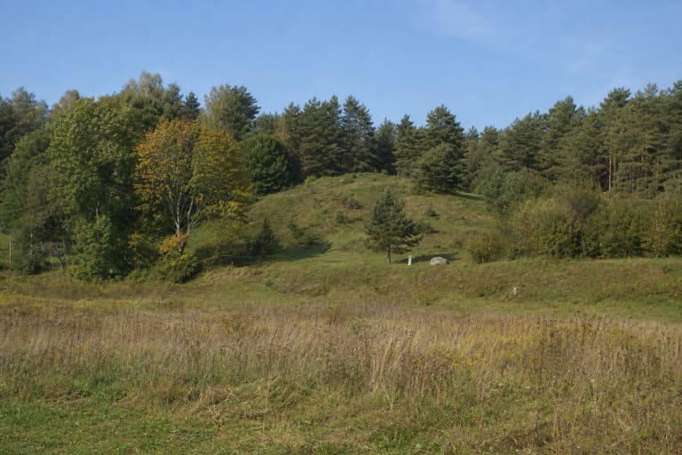 The low grass-covered promontory of Naravai Hillfort with scattered pines and mixed woodland at the edge of the Nemunas valley