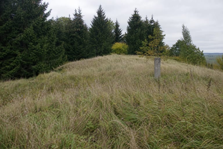 Aukšta žole apaugusi Naujienėlės piliakalnio aikštelė su betoniniu trianguliacijos statinio likučiu ir tankiomis eglėmis pakraštyje