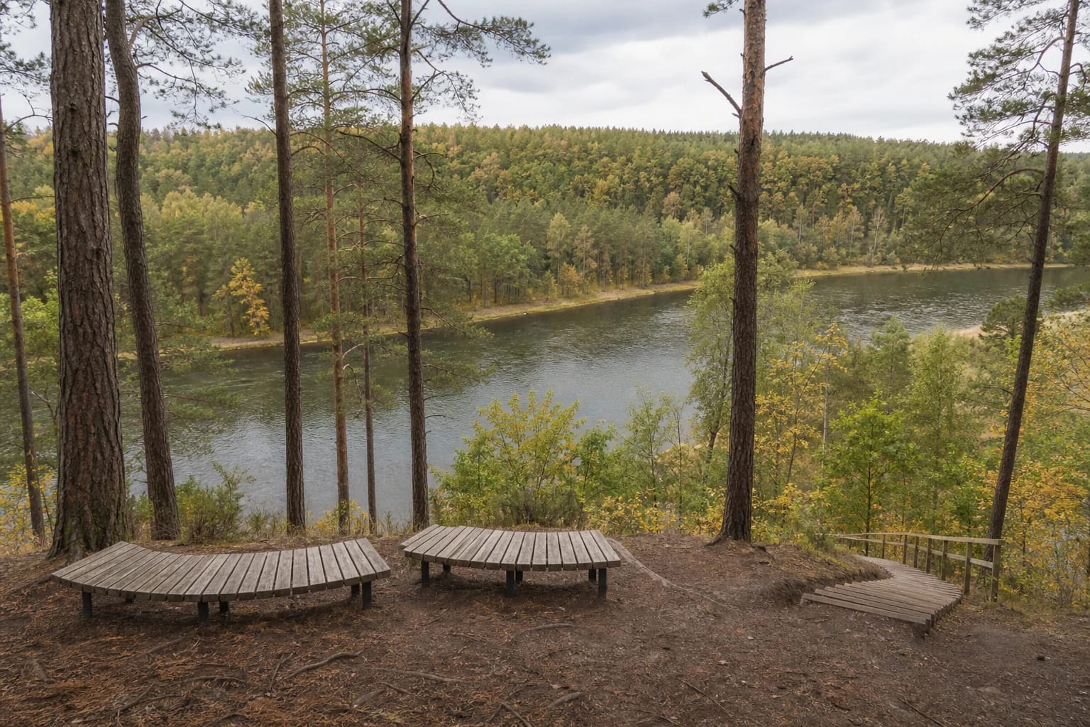 Pine woodland viewpoint at Naujoji Rėva Hillfort, with curved timber benches above a bend of the Neris