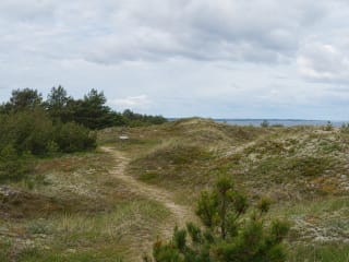 Sandy Nemirseta Botanical Educational Trail through seaside dunes and low pine forest