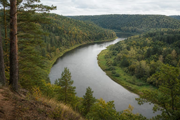 Neris vingiuoja per miškingą slėnį nuo aukšto parko šlaito rudens pradžioje