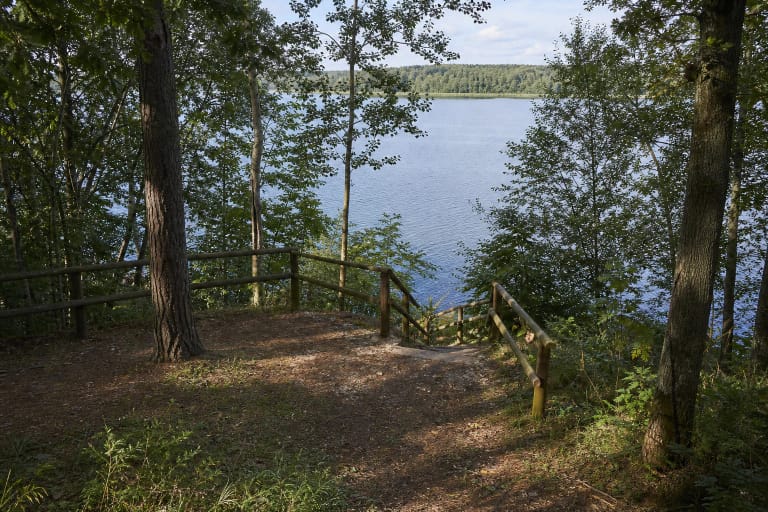 Miškingame Kauno marių šlaite įrengta Neveronių apžvalgos aikštelė su nusileidimu prie vandens
