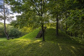 Small grassy Paberžė Hillfort with timber steps beneath mature deciduous trees