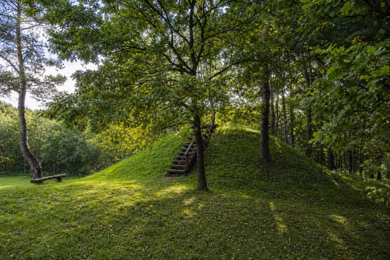 Small grassy Paberžė Hillfort with timber steps beneath mature deciduous trees