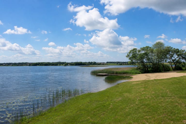 Paežerių ežero vieša pakrantė su veja, smėlio ruožu, mažu lieptu, nendrynu ir žemu Vilkaviškio apylinkių horizontu