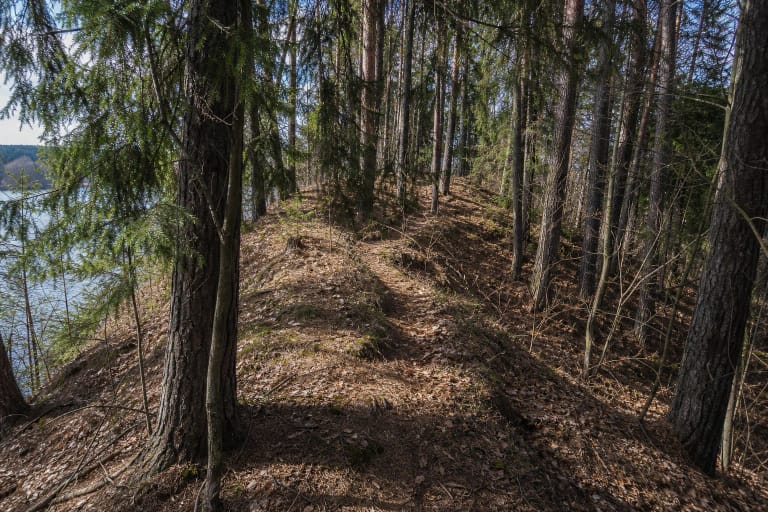 Siauras nelygus takelis miškinga Pageluvio I piliakalnio ketera, tarp medžių matant ežerą
