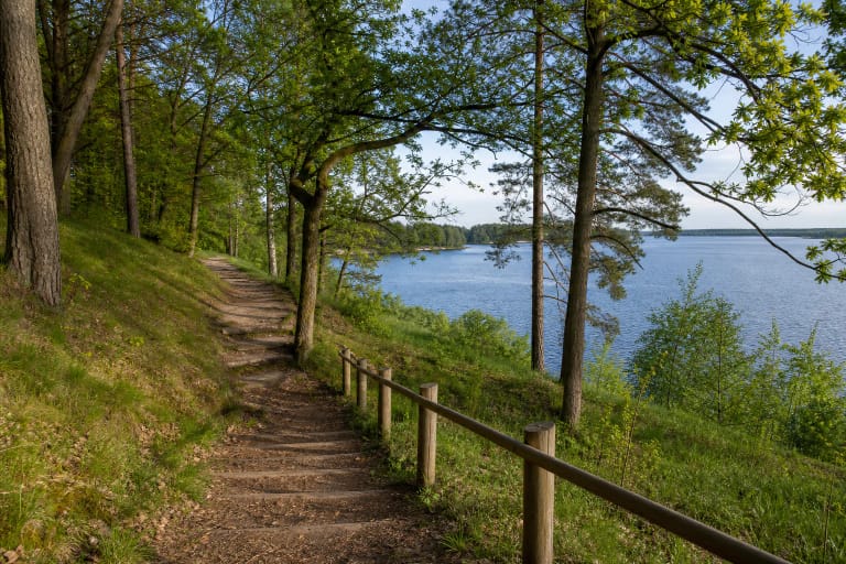 Forest trail with timber steps and a rail on a slope above the blue Kaunas Lagoon