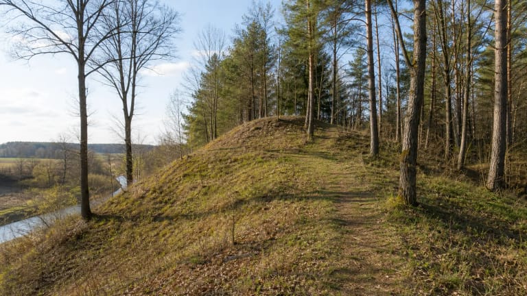 Pakalniškių piliakalnio žemas miškingas šlaitas prie Daugyvenės slėnio Radviliškio rajone