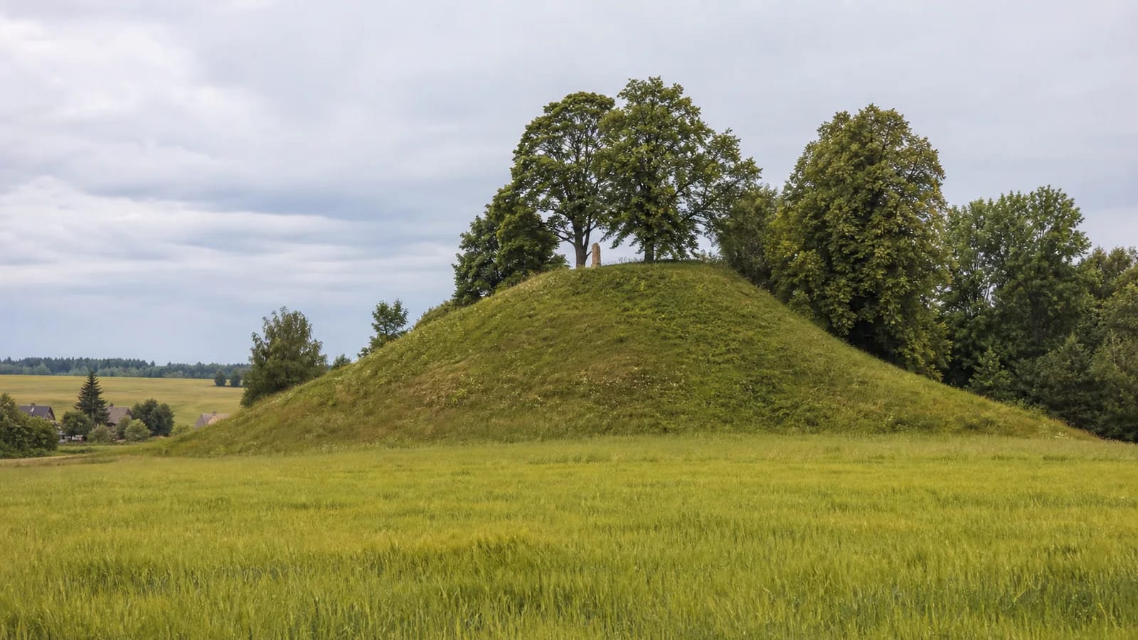 Kalnujų Palendrių piliakalnio žalia kalva Raseinių krašto laukuose ramią dieną