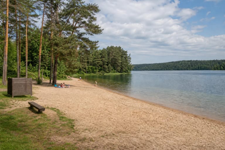 Smėlėta Palūšės paplūdimio pakrantė prie ramaus Lūšių ežero, apsupta pušų ir miškingų krantų