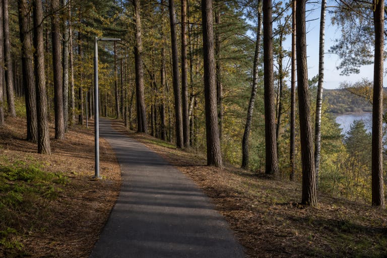 Paved path through tall pines in Panemunė Pinewood, with trail lighting and the Nemunas glimpsed through the trees
