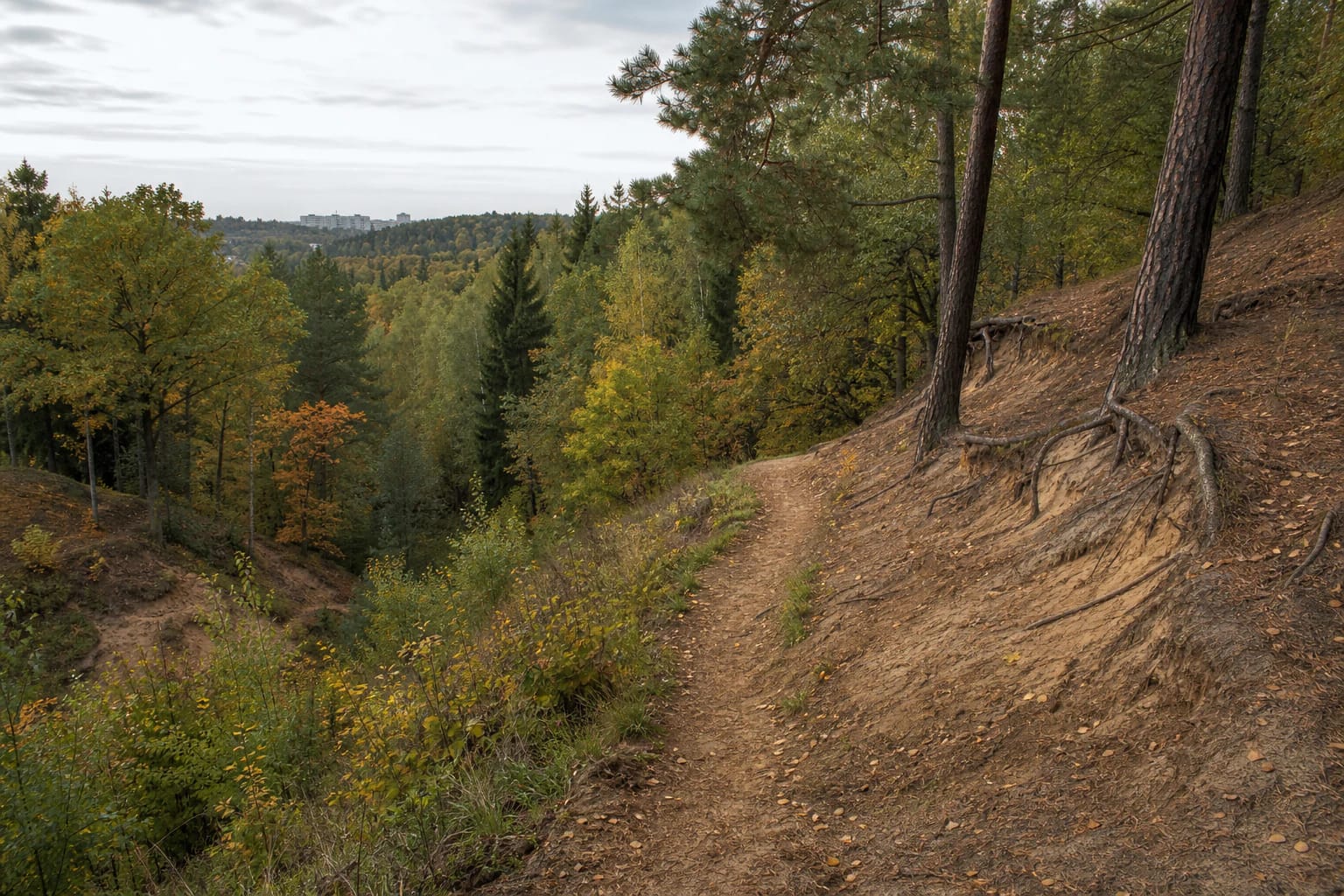 Panerių Erosion Hills Landscape Reserve woodland trail between steep sandy slopes and autumn trees