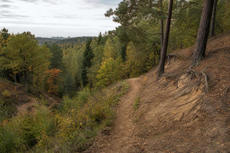Panerių Erosion Hills Landscape Reserve woodland trail between steep sandy slopes and autumn trees