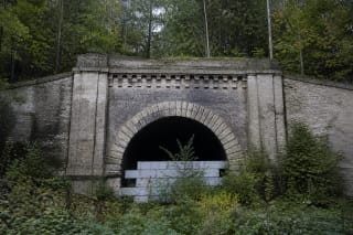 Apgriuvęs šviesių plytų Panerių geležinkelio tunelio portalas miške su užtvara prieš arkinę angą