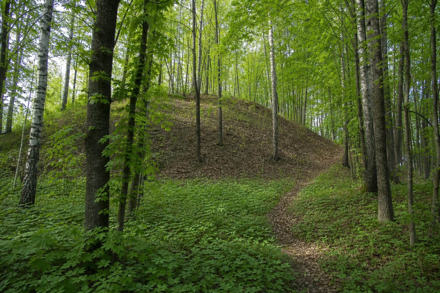 Wooded slope and narrow path at Paragiškės Hillfort with Outer Bailey
