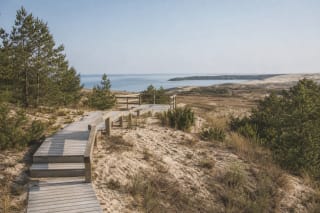 Pale wooden steps of Parnidis Educational Trail among sand, pines, and dunes with the Curonian Lagoon in the distance