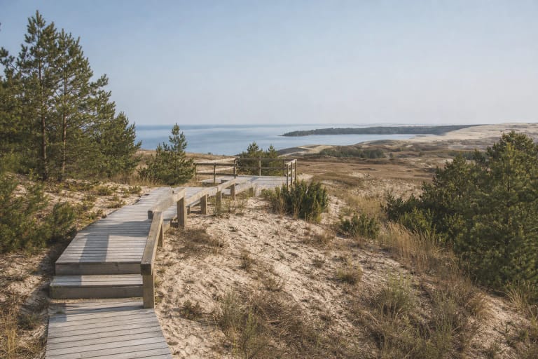 Pale wooden steps of Parnidis Educational Trail among sand, pines, and dunes with the Curonian Lagoon in the distance
