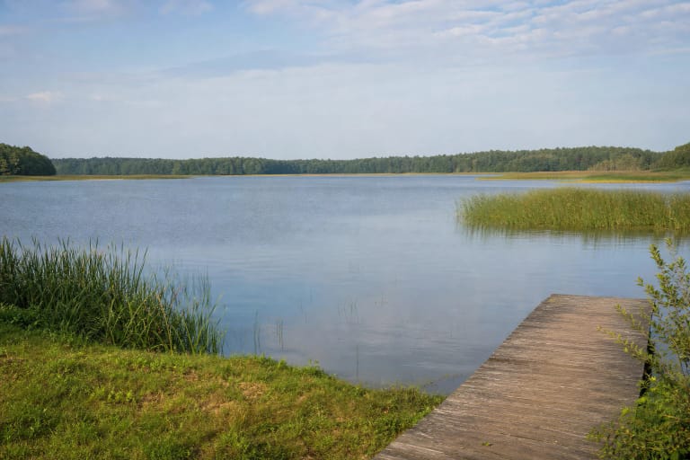 Quiet broad Lake Paršežeris with reed beds, wooded horizon, and a simple wooden shore walkway