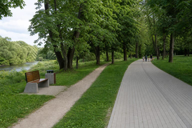 Pašešupio parko medžių alėja, vingiuotas takas ir žalia Šešupės pakrantė Marijampolėje