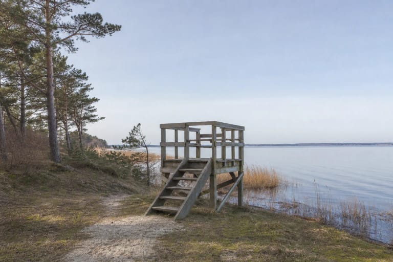 Small wooden Pervalka birdwatching tower at the reed edge overlooking the Curonian Lagoon