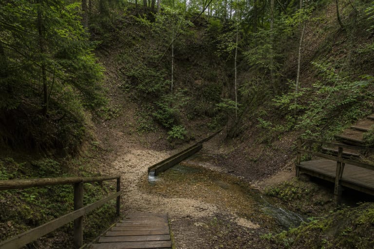 Pinyklos Spring in a wooded ravine with a wooden channel, steps, and viewing platform