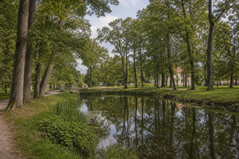 Alley, pond, and old trees in Plateliai Manor Park in Žemaitija National Park