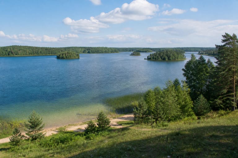 Platelių ežero panorama iš miškingos rytinės pakrantės su salomis ir seklia pakrante