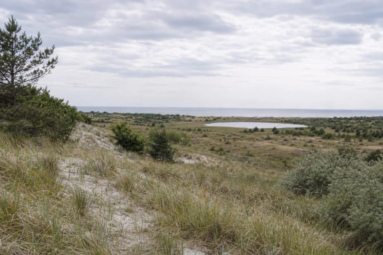 Plazės gamtinio rezervato pajūrio kopos ir natūralios pievos su tolumoje tyvuliuojančiu ežeru