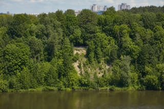 Лесистое обнажение Пликакальнис над Нерисом с узкой песчаной полосой, ограждением верхней смотровой площадки и зданиями Вильнюса за деревьями