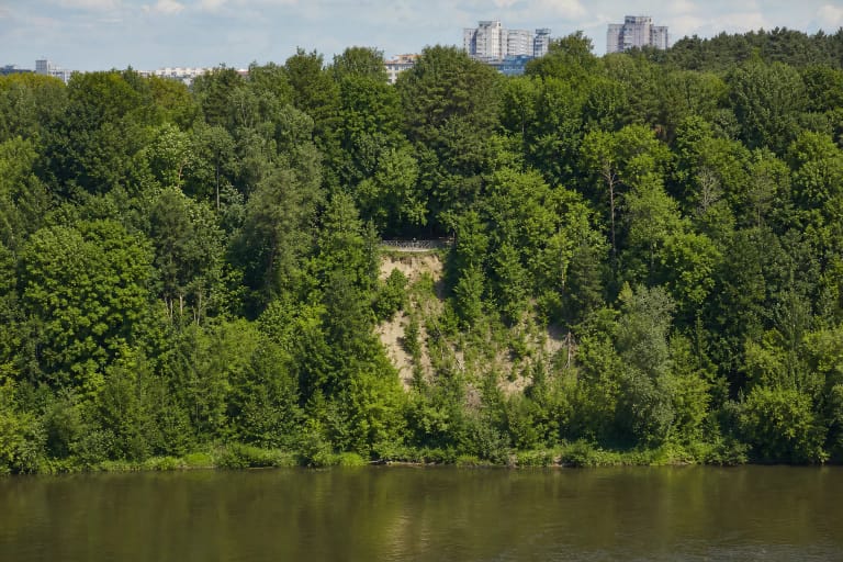 Forested Plikakalnis Outcrop above the Neris with a narrow sandy exposure scar, the upper viewpoint railing, and Vilnius buildings beyond the trees