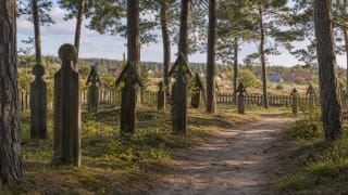 Path through Preila Ethnographic Cemetery in the forest with old grave signs and krikštai-shaped wooden monuments on the Curonian Spit
