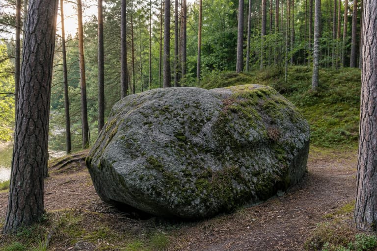 Puntuko brolio akmuo pušyne Anykščių šilelyje