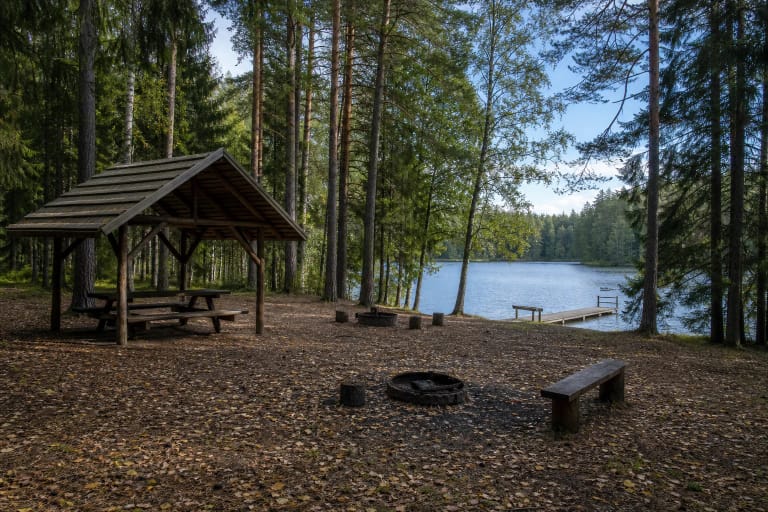 Purviniškių stovyklavietės miško aikštelė su medine stogine, laužaviete, lieptu ir Baluošų ežeru