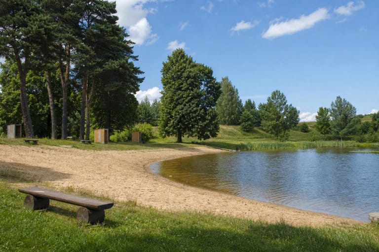 Sandy Pušalotas Beach shore beside a calm pond, mature trees, and a wooden bench