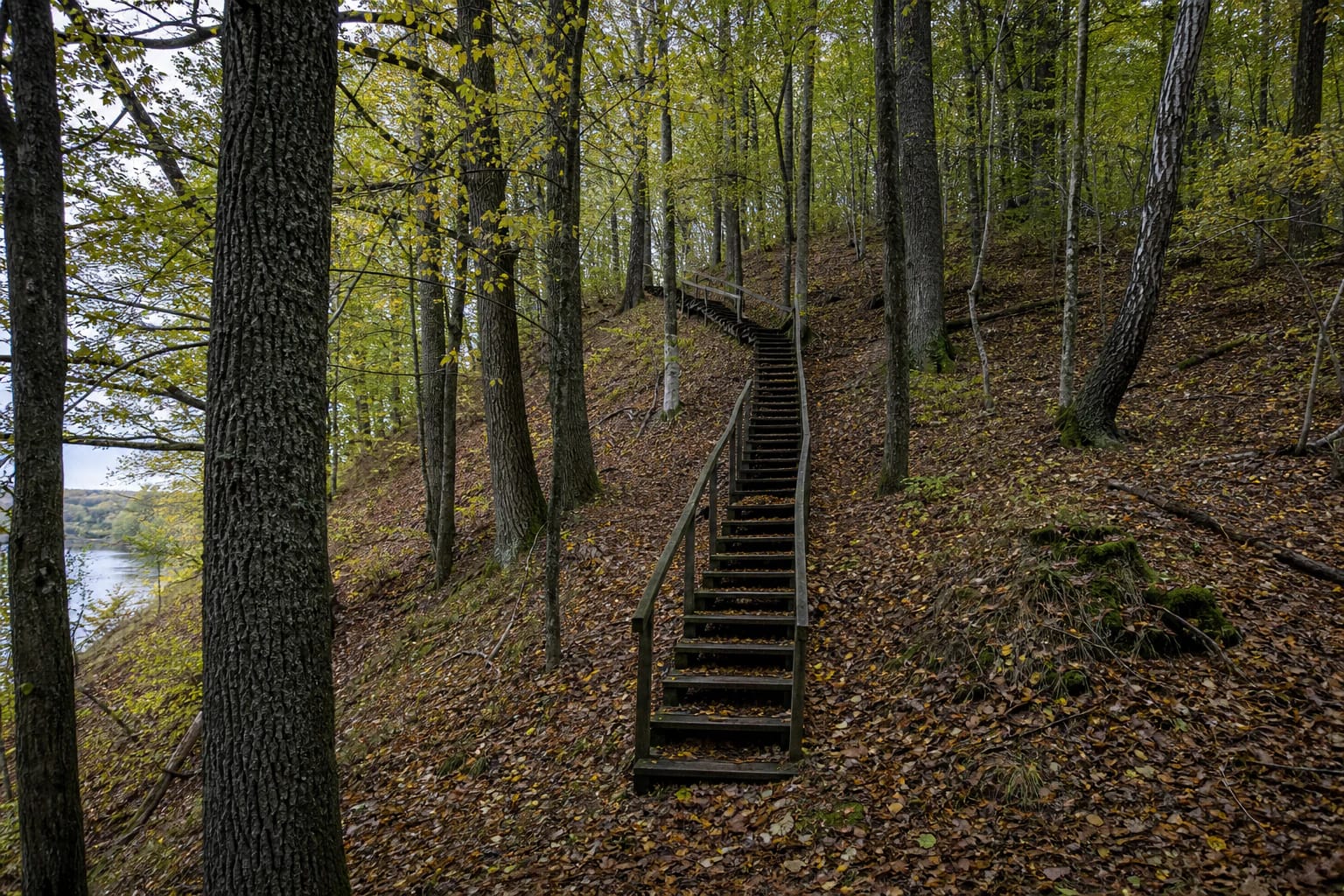Radžiūnai Hillfort rising through deciduous forest above the Kirmija valley, with oak steps and the Nemunas glimpsed through trees