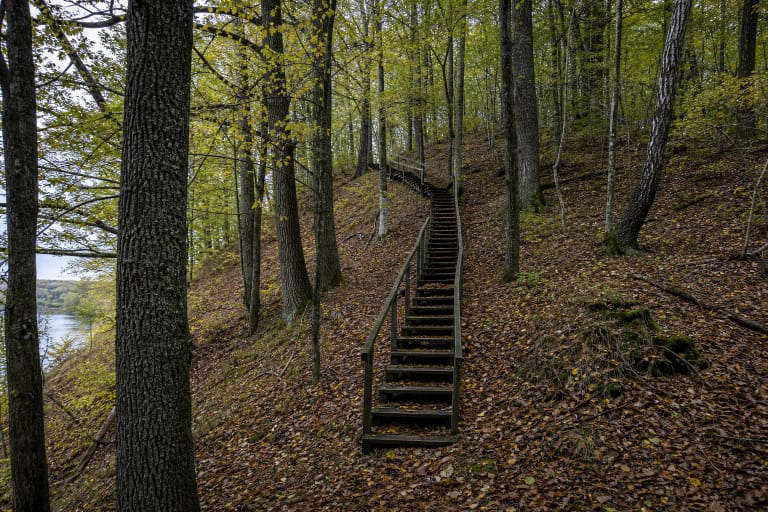 Radžiūnai Hillfort rising through deciduous forest above the Kirmija valley, with oak steps and the Nemunas glimpsed through trees