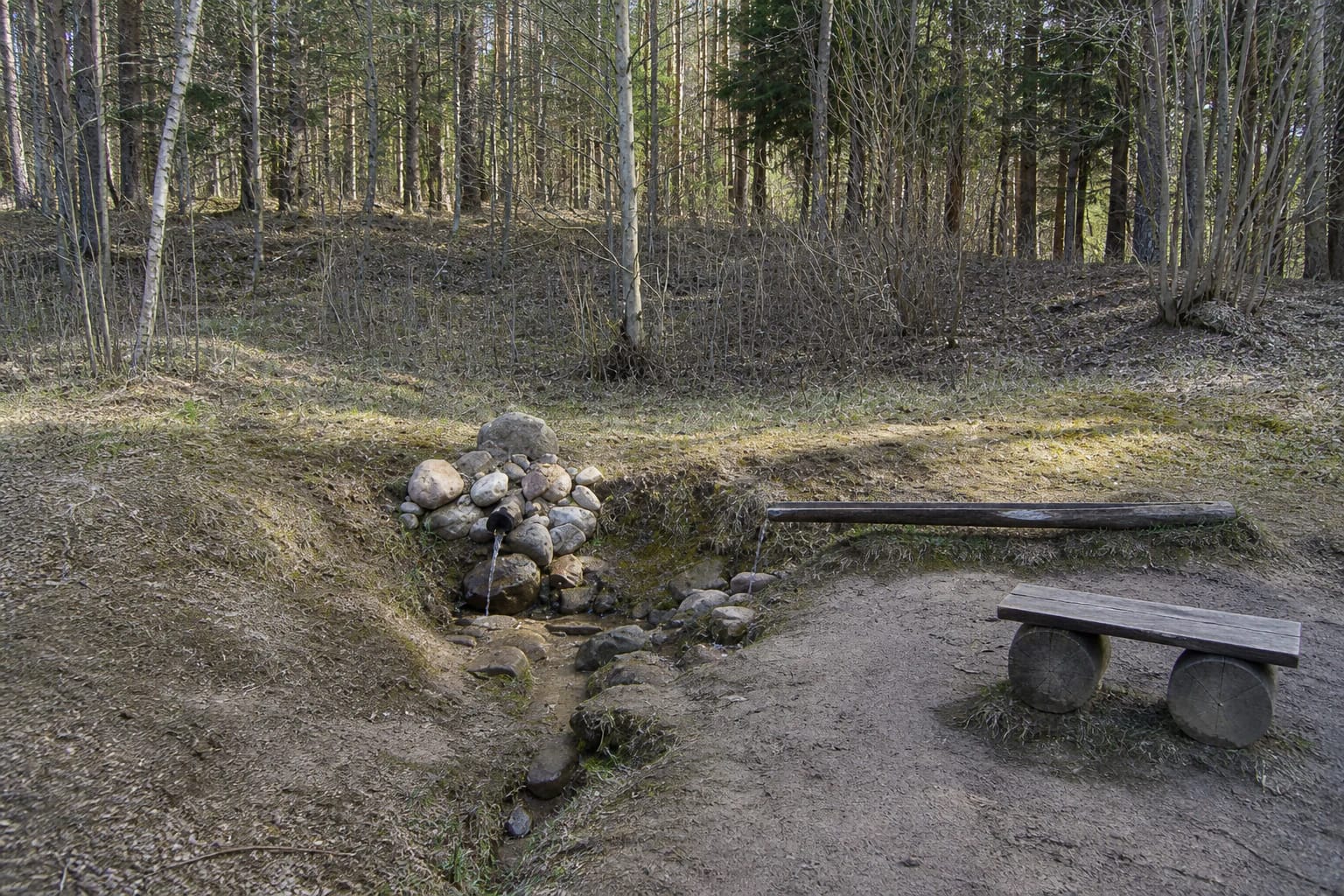 The stone-faced Rastinėnai Spring, wooden channel, and simple bench at a pine-forest edge