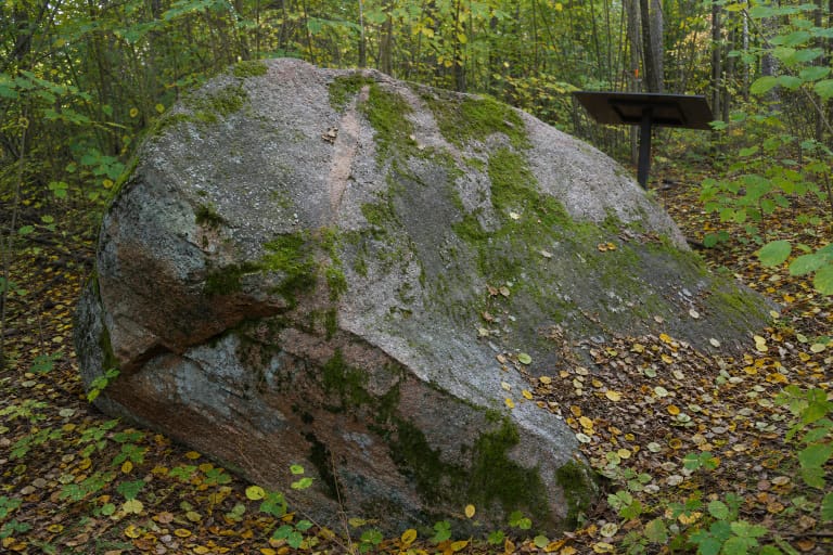 Reddish-brown Red Stone covered with moss and lichen in dense Norūnai Forest near Balkasodis