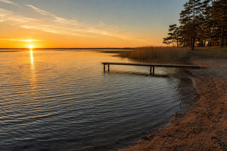 Golden sunset over broad Lake Rėkyva with a sandy shore, wooden pier, reeds, and silhouettes of pines