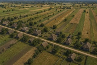 Plan of a rėžinis village with homesteads along a street and long narrow land strips behind them