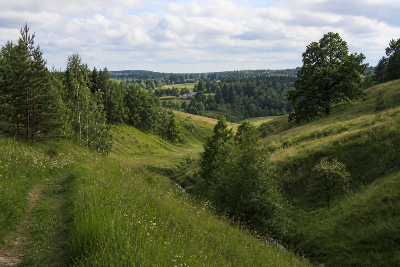 Green eroded slopes, meadow, mixed woodland, and the Kaukysa Valley in Ribiškės Landscape Reserve