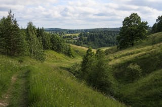 Žali Ribiškių kraštovaizdžio draustinio eroziniai šlaitai, pieva, mišrus miškas ir Kaukysos upelio slėnis