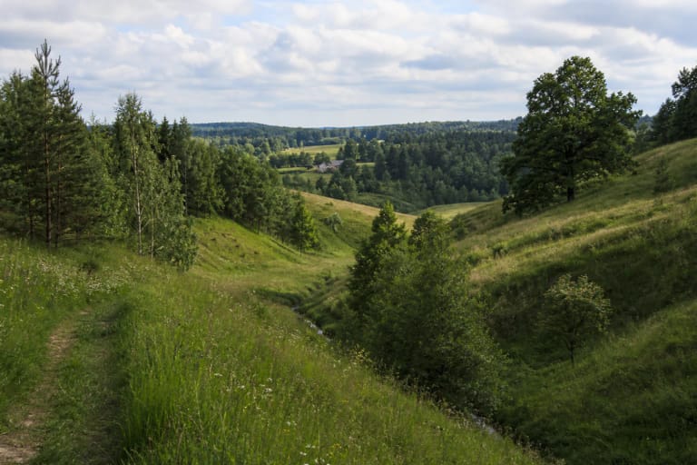Green eroded slopes, meadow, mixed woodland, and the Kaukysa Valley in Ribiškės Landscape Reserve