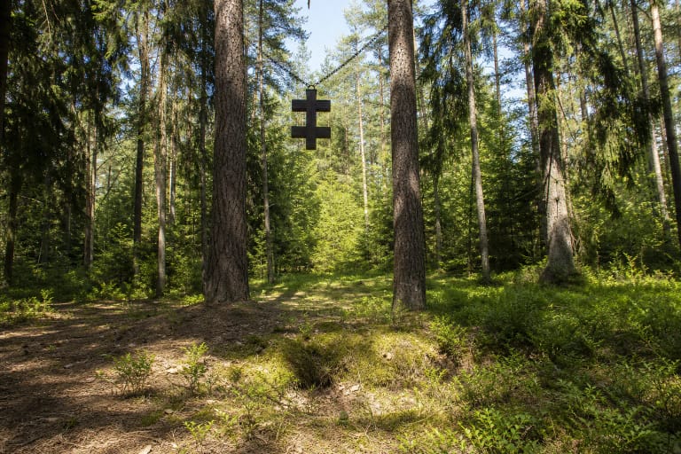 Rūdšilio girioje tarp dviejų aukštų pušų kabantis metalinis dvigubas kryžius virš samanoto partizanų atminimo maršruto