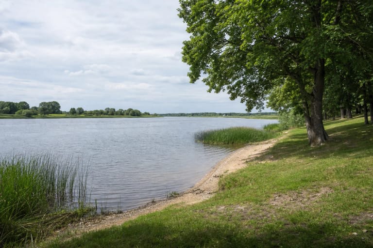 Žole apaugusi Rusnės upės pakrantės poilsio vieta su nedidele smėlio juosta ir medžių pavėsiu