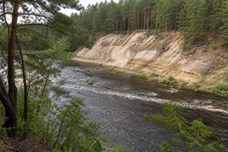 Sakiškių skardžio smėlinga atodanga virš Neries ir Šiaučių rėvos tarp pušų